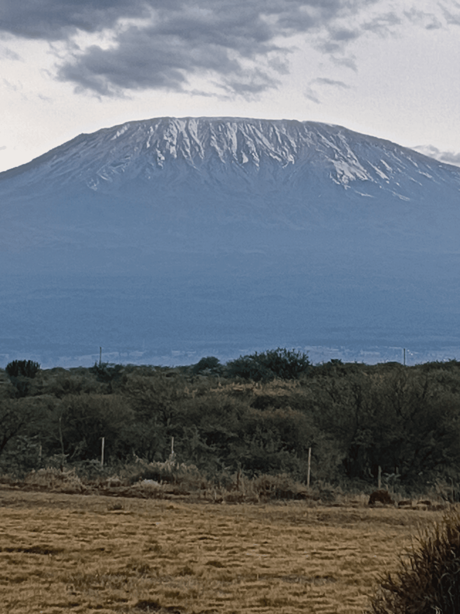 Mt.kilimanjaro from amboseli national park – by David Kivai